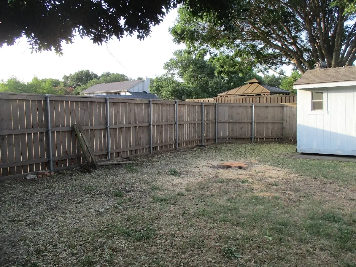 Cleared yard after professional tree removal in Minden City